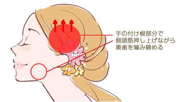 側頭筋を鍛える方法の説明図